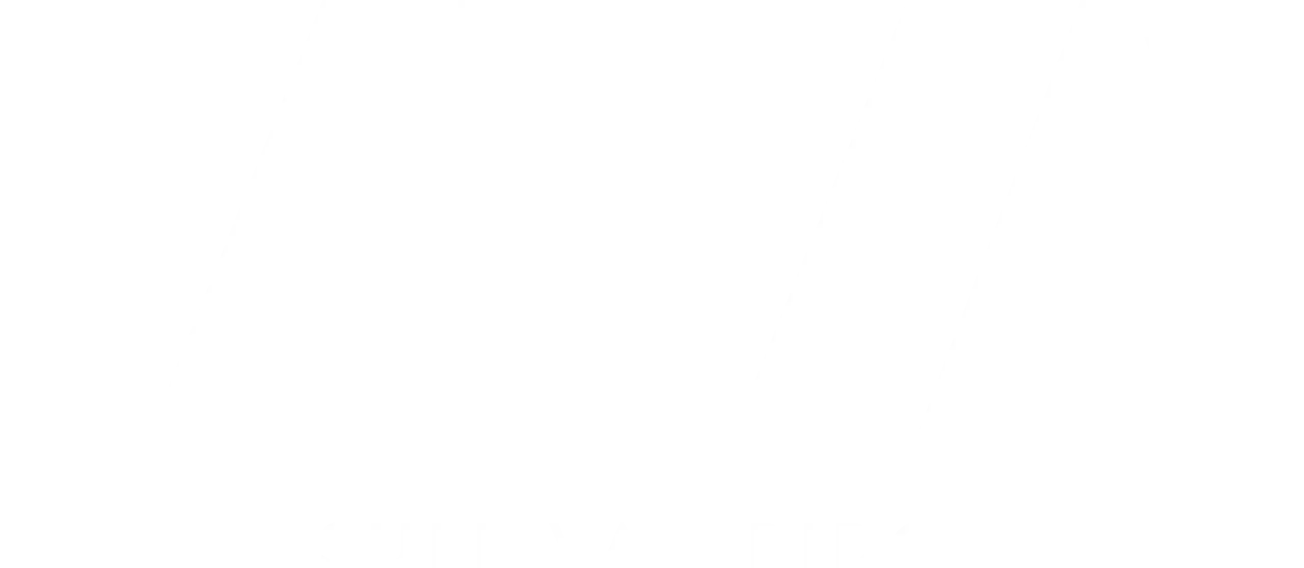Viva in Sullivan Ridge by Four Square